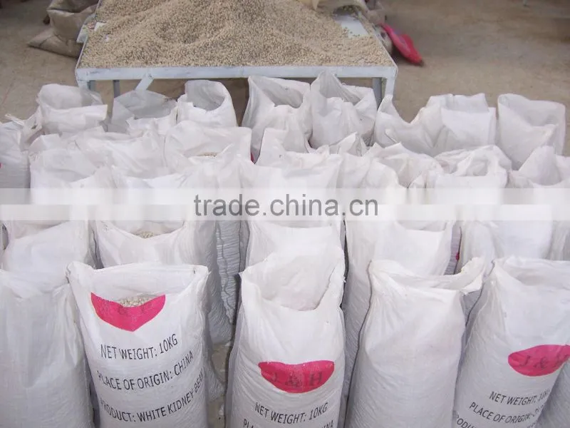 2015 white kidney beans for sale with cheaper price from china