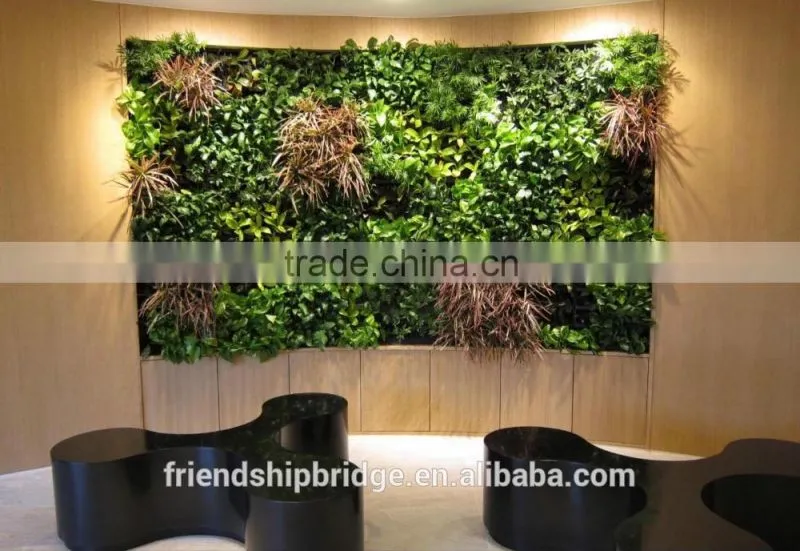 Assorted Tree Plant Seedlings for Vertical Planting Walls and Gardens