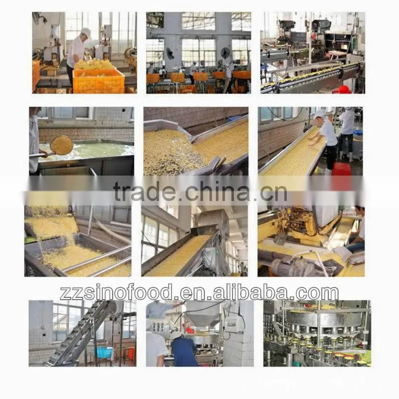 Canned Sweet corn in Brine Factory in China