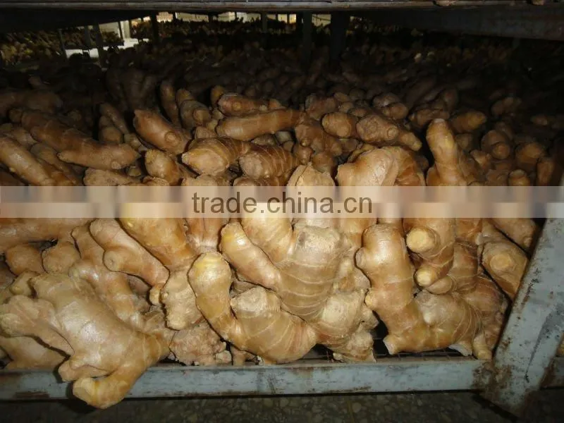 Fresh air dried Ginger