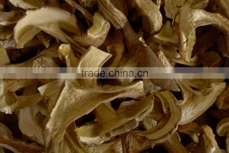 Reliable supplier Boletus Edulis