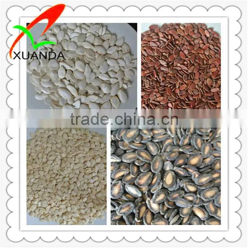 seedless watermelon seeds kernels