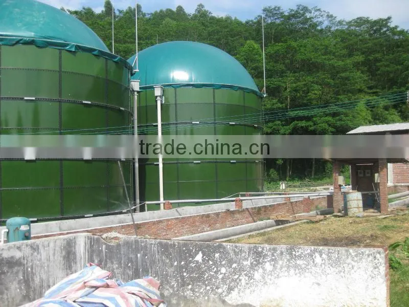 Farm Waste/Animal Waste Biogas Power Plant/Biomass Cogeneration Plant 20KW-500KW
