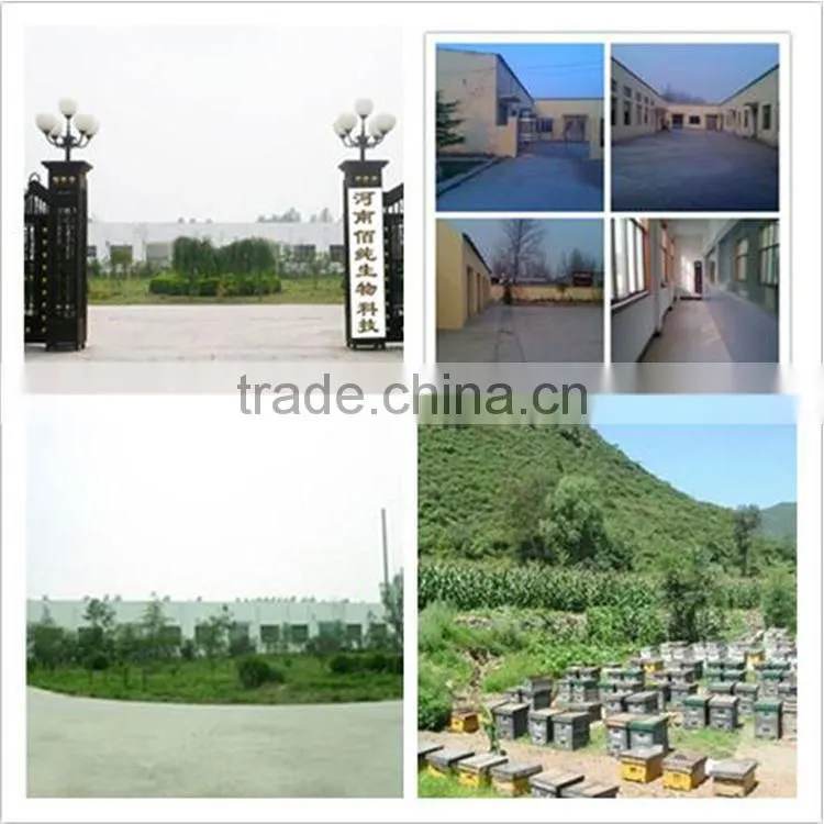 HACCP factory supply most secure propolis soft capsule with 30% propolis