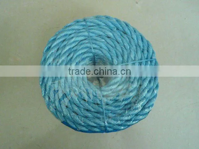 pp danline rope