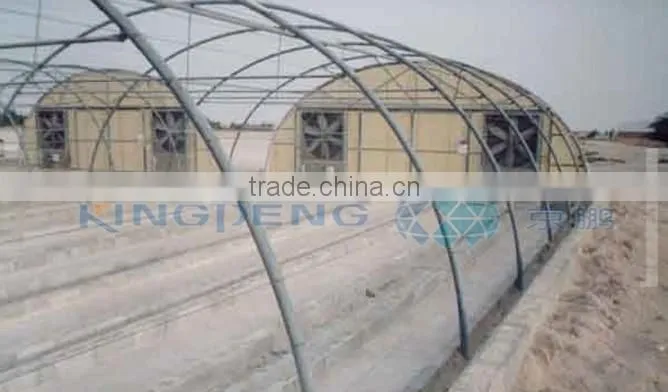 Tunnel Greenhouse for Agriculture