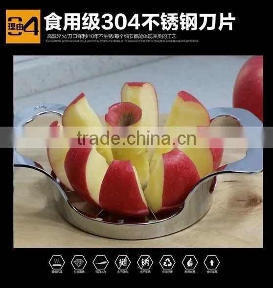 New style 8 Pieces Divided Stainless Steel Apple Slicer