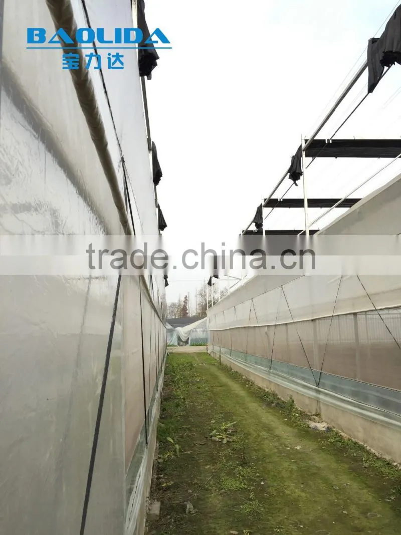 BaoLiDa Large Multi-span Plastic film Greenhouse Technological greenhouse system