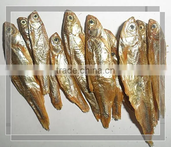 Pet Products Pet Food Pet Nutrition and Health Care Dried fish