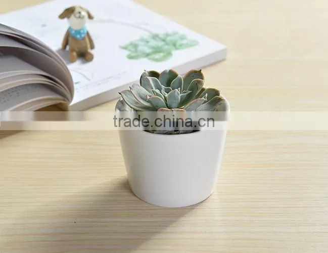 Indoor mini ceramic decor white plant pot