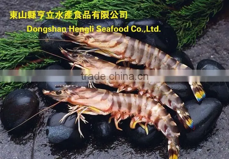 HL002 best quality shrimp pud on sale