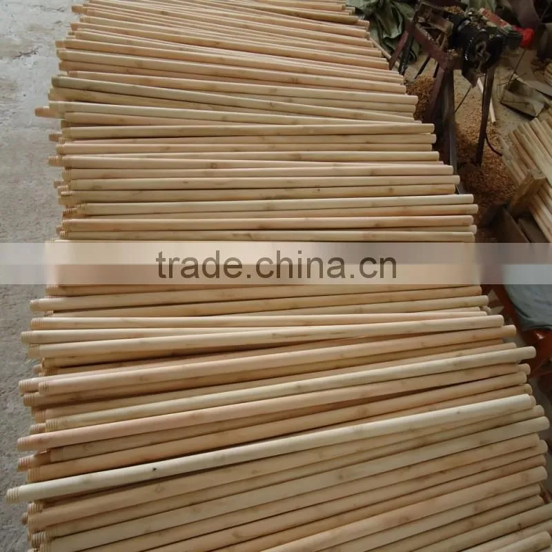 Home Usage and PET Broom Head Material broom handle