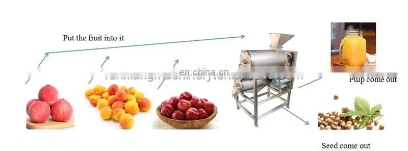 Stainless Steel Coconut Milk Screw Industrial Fruit Apple Watermelon Mango Pineapple Juice Crusher Juicer Extractor Machine