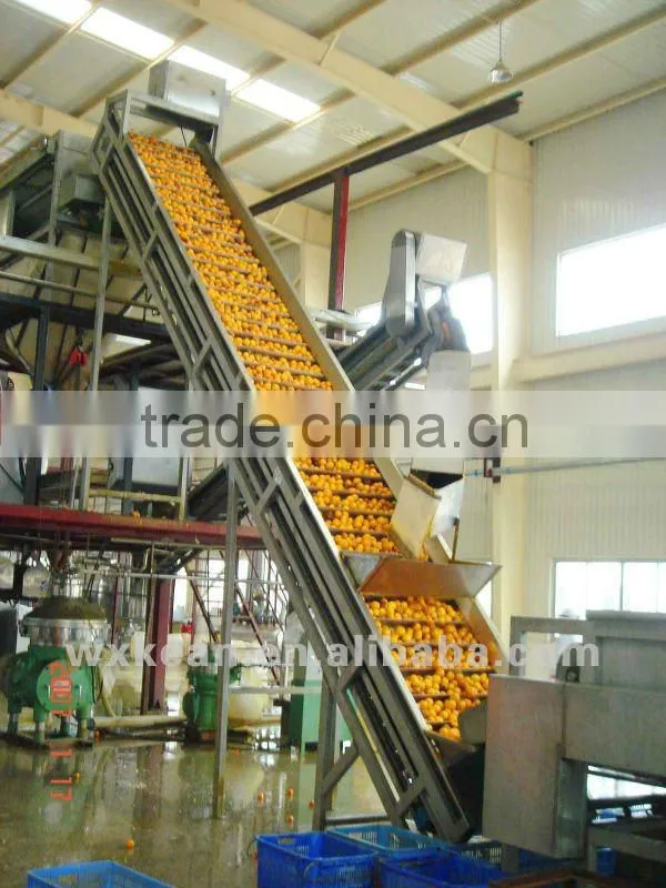 Turnkey project industrial orange juice plant