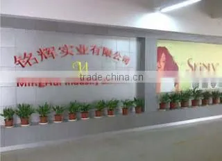 Xiamen Ming Hui Imp & Exp Co., Ltd. company overview - view 1