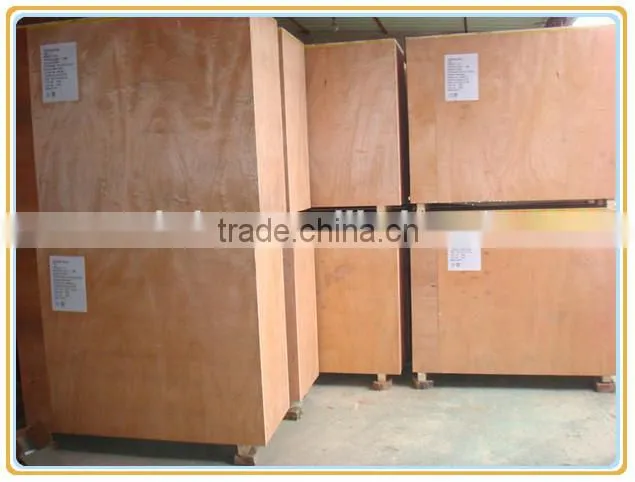Factory directly price Chinese noodle machine/noodle making machine/buckwheat noodle machine