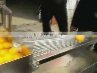 ZENYER 3000pcs/h stainless egg breaker machine