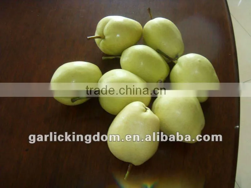 China shandong pear/China Delicious Nashi Pear/ya pear
