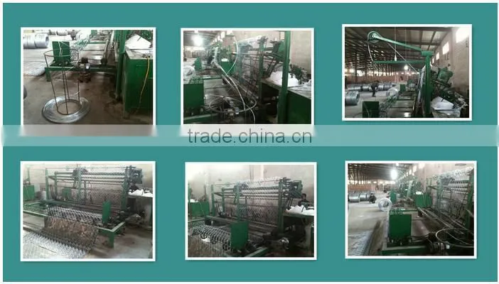 Low Price High Quality chain link wire fence