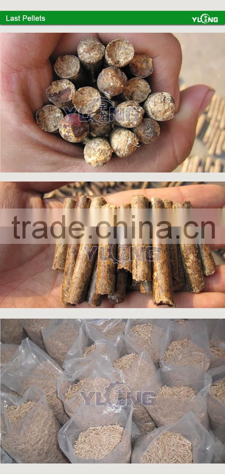 Hot sales 2.5-3t straw pellet mill,rice husk pellet press YUlong Malaysia Branch company start