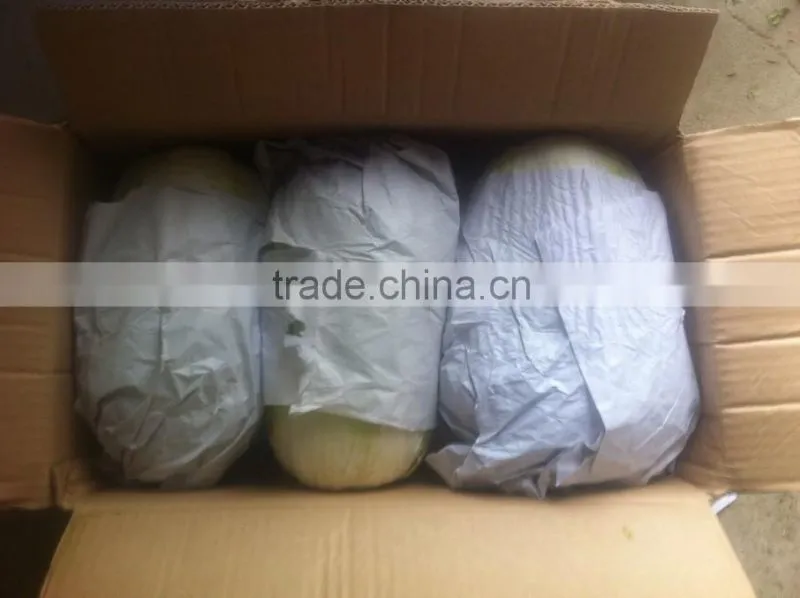 fresh chinese cabbage