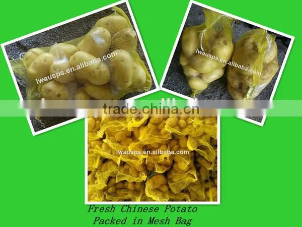 fresh preserved potato