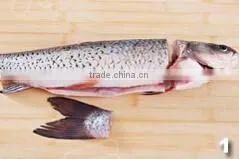 shrimp meat extruder machine/fish deboning machine /automatic Fish meat deboner