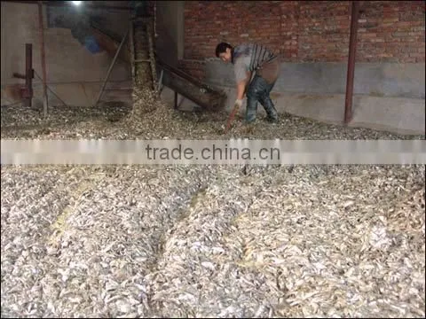 high protein fish meal for poultry