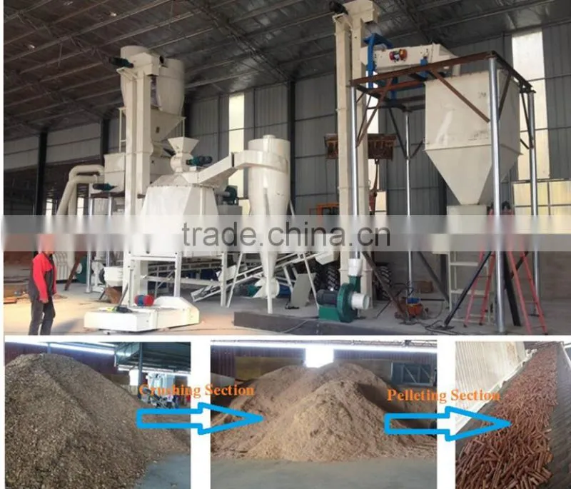 CE approved biomass wood pellet mill for EFB, Oil Palm,Pine,Olive Shell