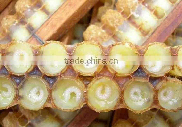 Factory price 1.4% 10-HADpure organic fresh royal jelly