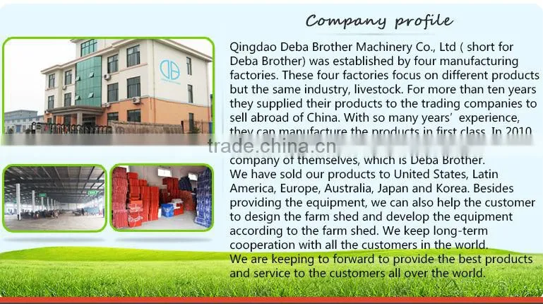 Discount Plastic Floor Anti Static Floor