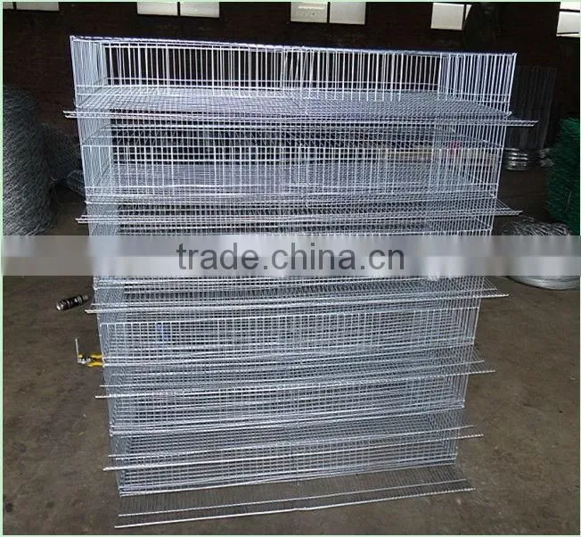 Promotion Layer Quail Cages For Sale Cheap