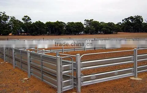 Cattle Yard Panels