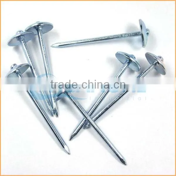 Top quality flat top yellow coated ring/smooth coil roofing nails trusted Chuanghe suppliers from alibaba com