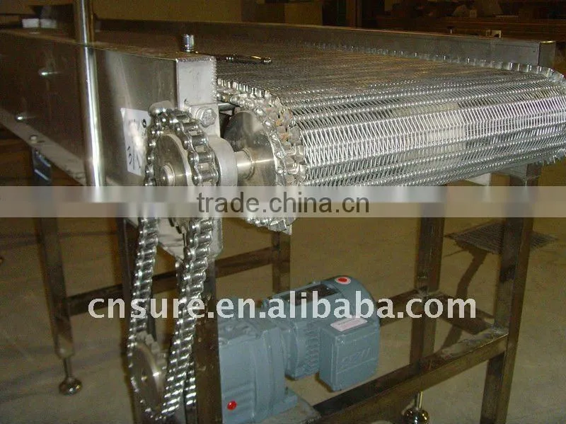 food grade conveyor