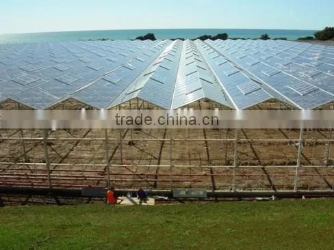 PC sheet vegetable greenhouse sale