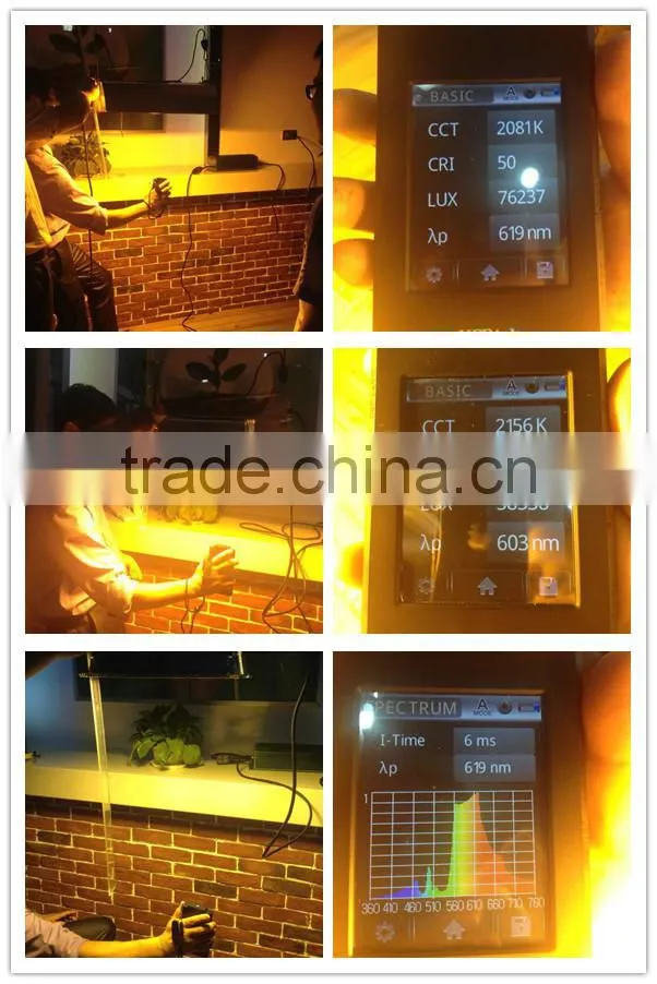 Hydroponic Indoor Growing Use Electronic Ballast With Fan / grow light ballast/ 1000w dimable digital electronic ballast