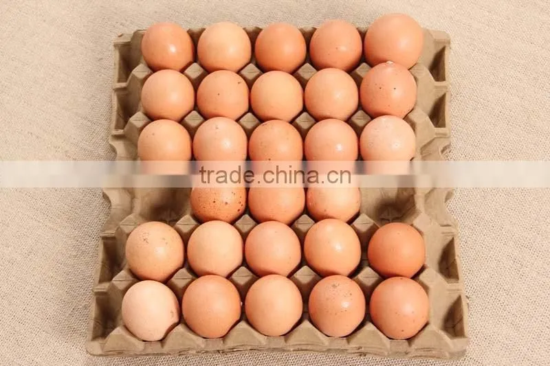 Compostable wheat straw 30 egg tray from virgin straw pulp not waste paper