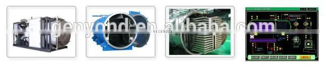 Commercial fruit dehydrator/food vacuum dehydrator/food freeze dryer