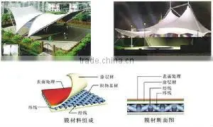 PTFE membrane film