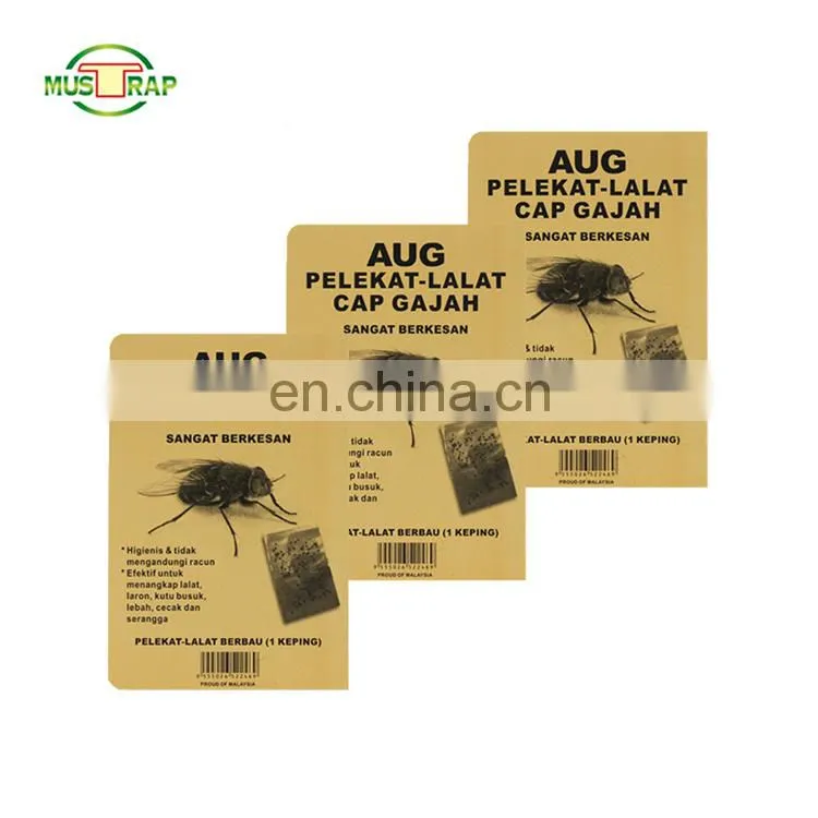 MUSTRAP hot sale INDIAN yellow Fruit Fly strong power insect catcher glue Trap killer Cardboard