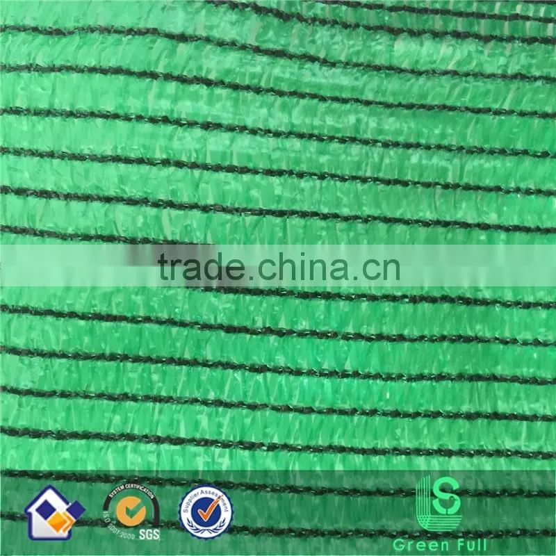 Changzhou agriculture green shade net