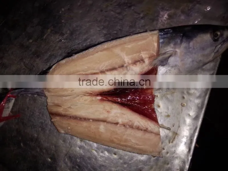 frozen bonito(Sarda Orientalis) 2kg+/pc