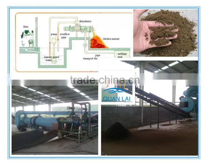 China professional chicken manure drying machine price