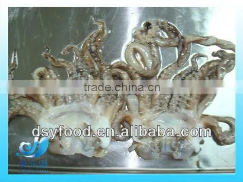 Frozen clean and fresh Fuzhou squid