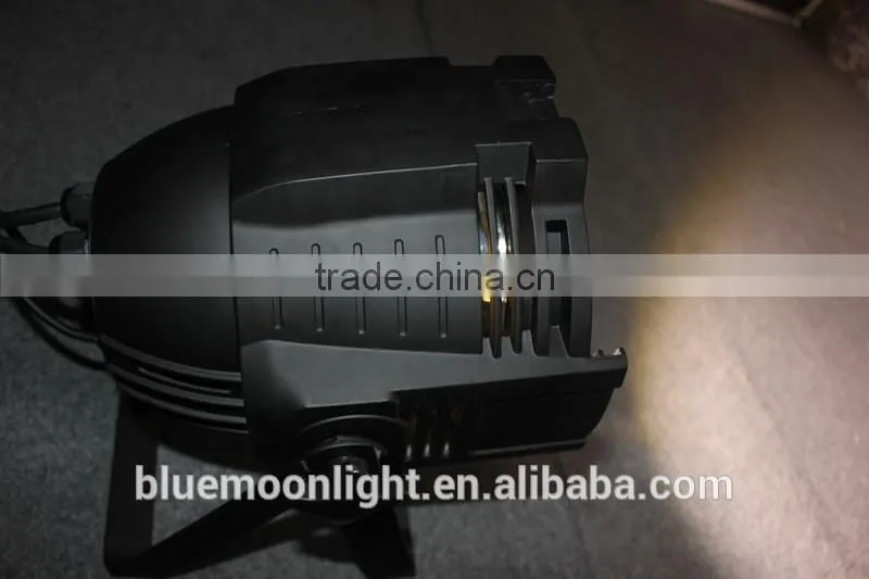led par can light/warm white/led par 100w