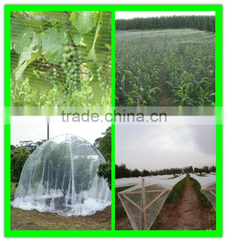 high quality virgin HDPE bird mist nets for sale