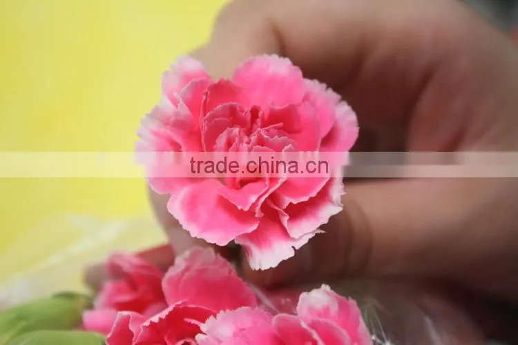 Good smell hot sale fresh cut carnations and roses