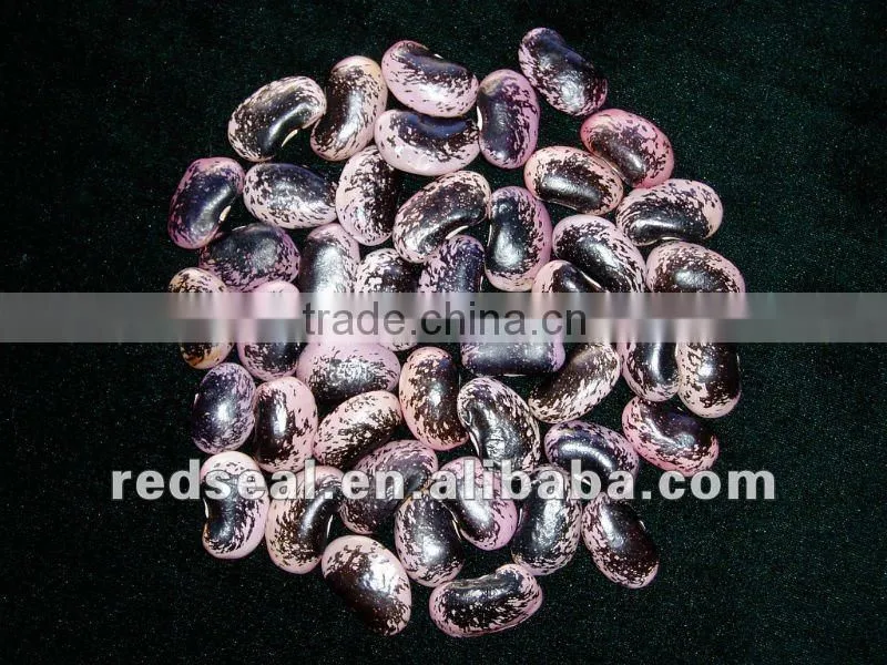 Small Black kidney beans