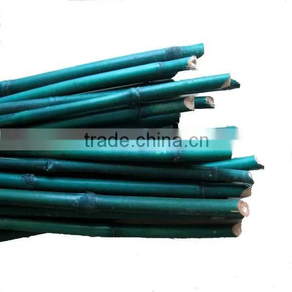 bamboo plant green color stakes